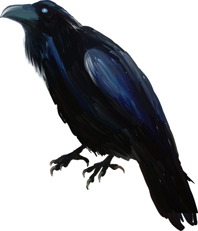 Bird black raven. Halloween clipart