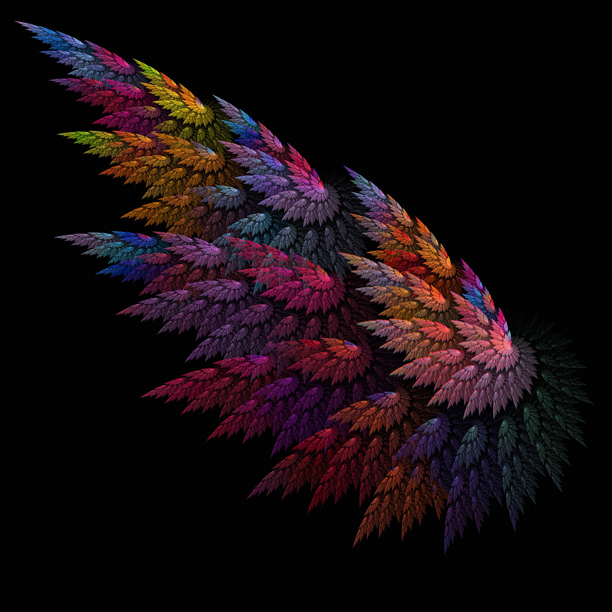 Rainbow Fractal Wing